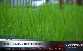 В Туркестанской области зарегистрированы восемь случаев ККГЛ: необходимость повышения осведомленности о здоровье