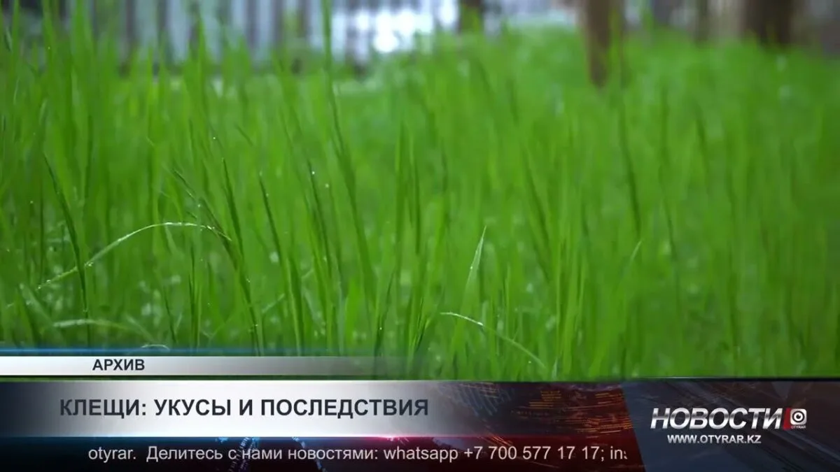 В Туркестанской области зарегистрированы восемь случаев ККГЛ: необходимость повышения осведомленности о здоровье