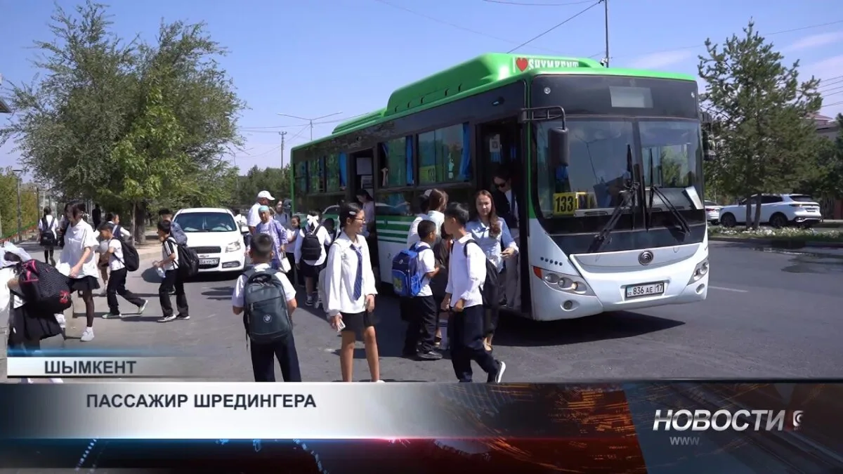 Полные автобусы: видимость не совпадает с реальностью