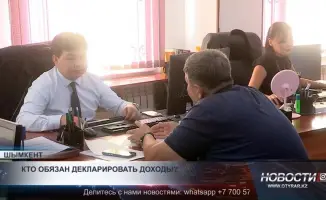 Декларационная кампания 2023: Кому, как и что указывать в налоговой декларации

Сегодня, 15 ноября 2023 года, в налоговых инспекциях по всей стране стартовала декларационная кампания. Главный вопрос, который волнует граждан: кому необходимо подавать налог