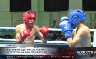 В Шымкенте стартовал отбор лучших молодых боксёров Казахстана: юные таланты демонстрируют свои навыки на ринге