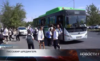 Полные автобусы: видимость не совпадает с реальностью