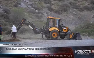 Высадка 100 деревьев у подножия Каратау: шаг к восстановлению экосистемы и улучшению качества воздуха в регионе