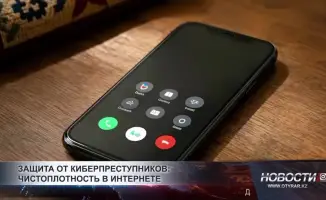 В Шымкенте за восемь месяцев зарегистрировано 363 киберпреступления: социальные последствия цифровой угрозы