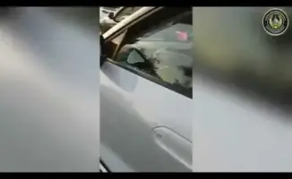 Поддельные номера: водитель на сутки за решеткой!