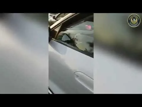 Поддельные номера: водитель на сутки за решеткой!